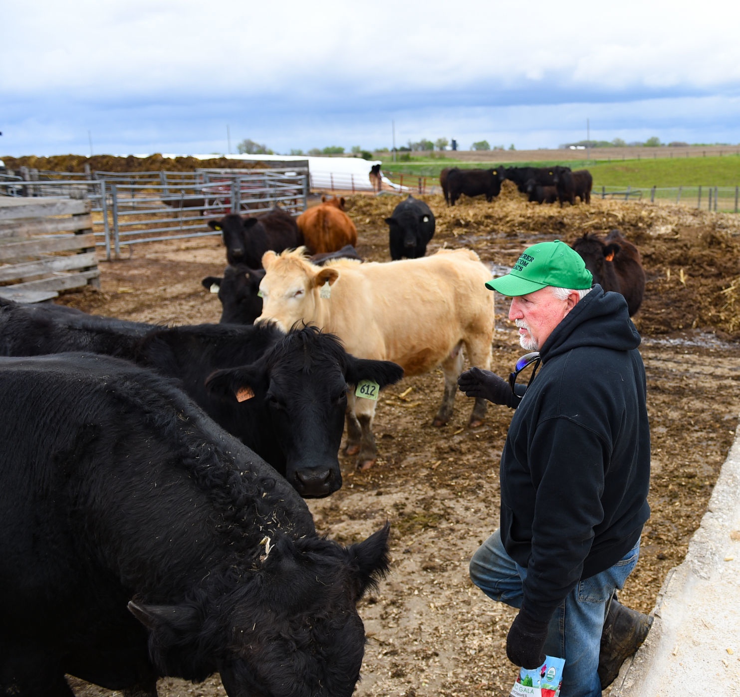 051720-qc-nws-regionalmeat-005